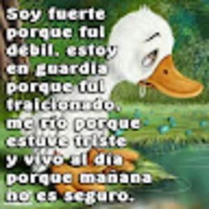 Meet your Posher, Alejandro